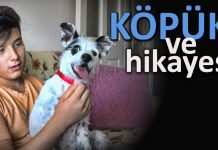 Köpük’ün pozitif köpek eğitimi