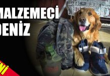 Süper Köpek Deniz Malzemeci Oldu