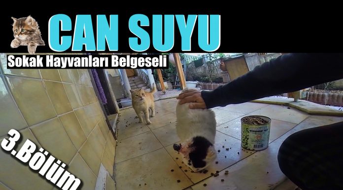 Güzel insanların yardım eli – CAN SUYU – 3.Bölüm