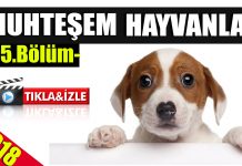En sevimli anlarıyla “Muhteşem Hayvanlar” -5.Bölüm-