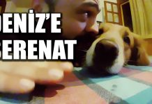 Deniz’e Serenat