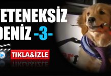 Yeteneksiz Deniz “3”