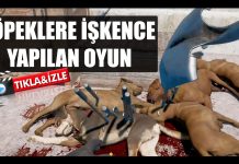 Köpeklere işkence yapılan bu oyundan çocuklarınızı uzak tutun