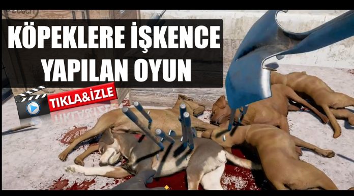 Köpeklere işkence yapılan bu oyundan çocuklarınızı uzak tutun