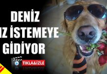 Deniz Kız İstemeye Gidiyor