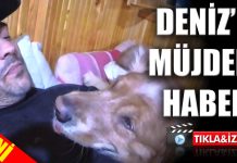 Sevgilisi Limon’a kavuşacağı müjdesini öğrenen Deniz