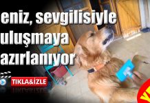 Sevgilisi Limon’la randevusuna hazırlanan Deniz fırça yiyor :)