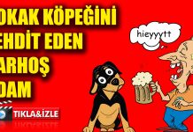 Sokak köpeğini küfürle tehdit eden sarhoş adam