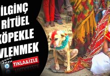 Kızlarını köpekle evlendiren aile Hindistan'da köpekle evlenen kızlar