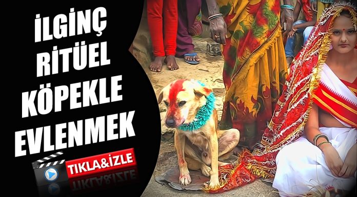 Kızlarını köpekle evlendiren aile Hindistan'da köpekle evlenen kızlar