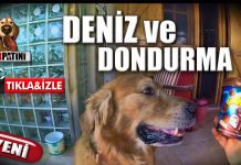 Deniz ilk defa dondurma tadıyor ve …