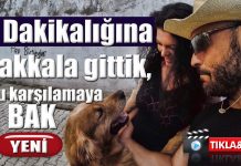 5 Dakikalığına bakkala gittik Deniz bizi nasıl karşıladı