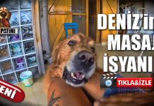 Masaj yapmayı kestiğinde arızaya bağlayan Deniz
