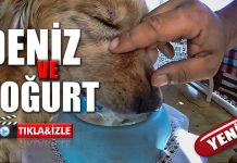 Deniz’e kaymaklı yoğurt yedirdim