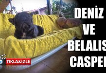Deniz’in kıskançlık tribi “KAPIMDAKİ DÜŞMAN”